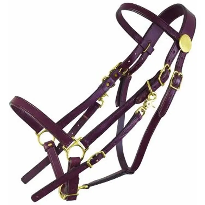 0114 Tucker Classic Standard Halter Bridle 1