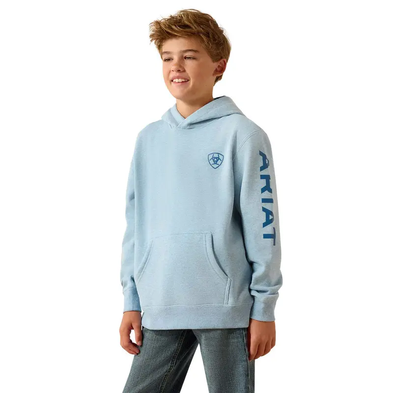 10071456 Ariat Boys' Logo Hoodie - Baby Blue Heather 1