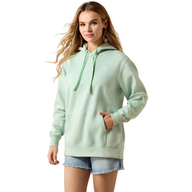 10071459 Ariat Women's Logo 2.0 Hoodie - Silt Green 1