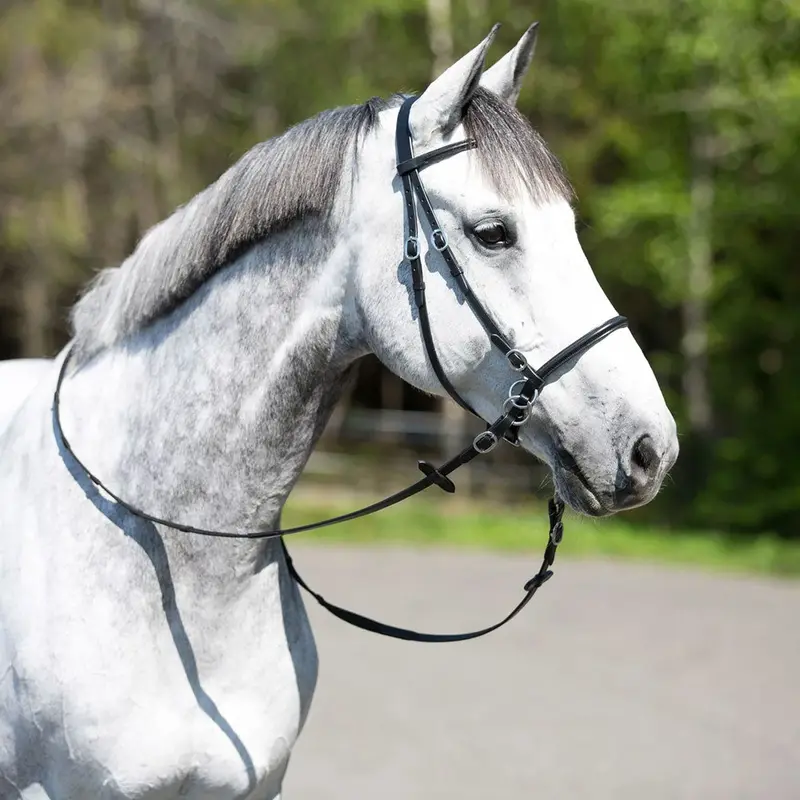 10081 Horze Bitless Bridle 1