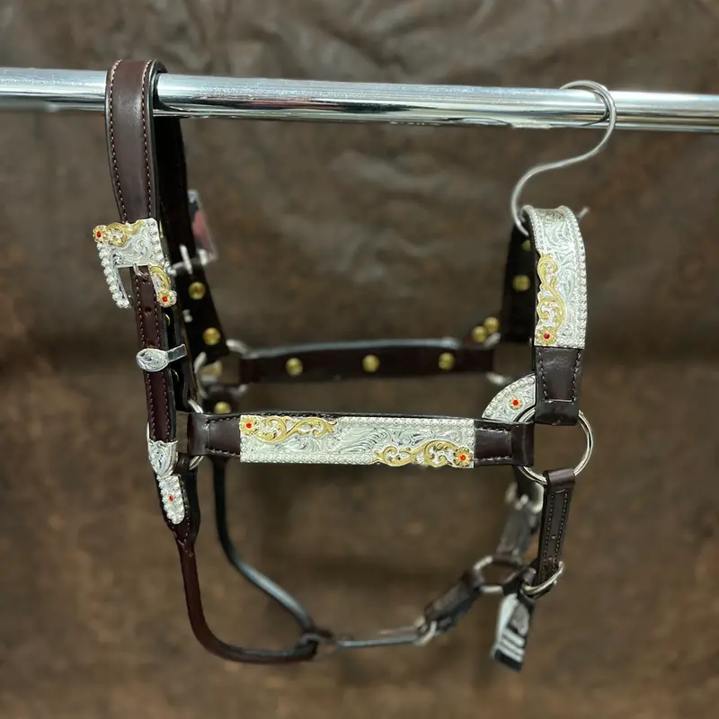 1231-103 Kathy's Show Halter Congress Cut With Red Stones 1
