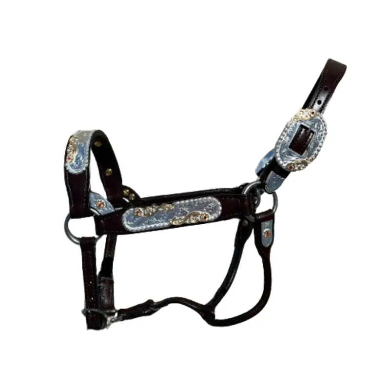 1231-210 Kathy's Show Halter Congress Cut With Red Stones - Mare 1
