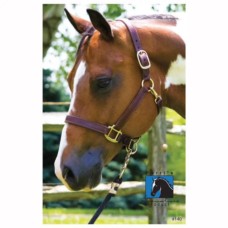 140H Perri's 1 Inch Horse Turnout Halter - Havana Brown 1