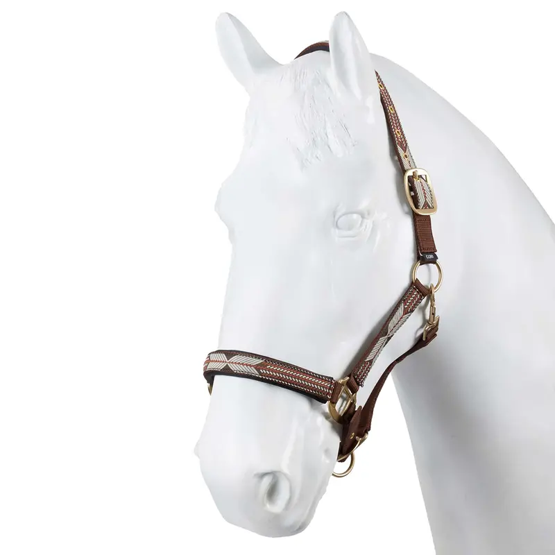 22R26kt-Crbr Horze Dakota Western Print Halter - Carafe 1
