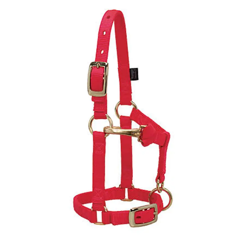 35-4800 Weaver Leather Miniature Horse Halter Adjustable Chin & Throat Snap 1