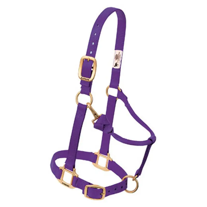 35-4805 Weaver Leather Original Adjustable Chin And Throat Snap Large Mini Halter 3