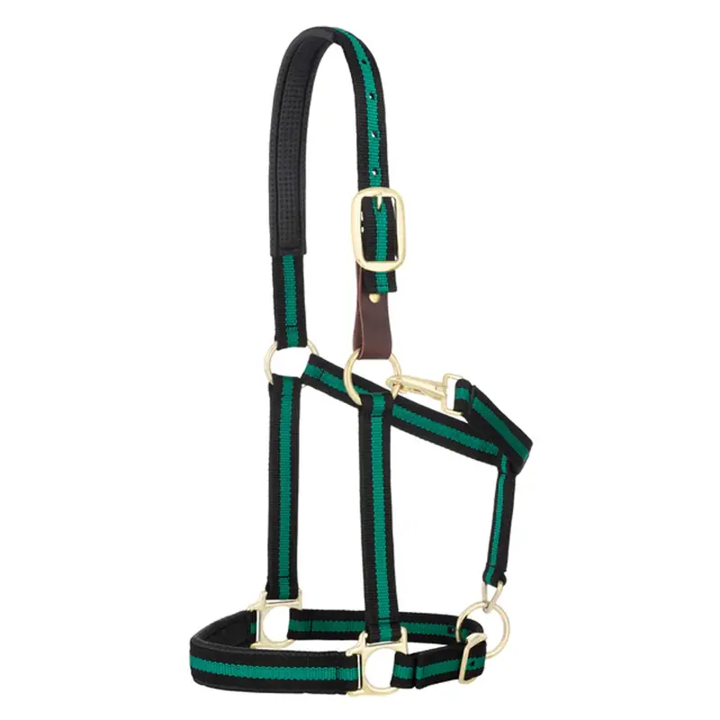 35-6065-Gr Weaver Leather Padded Breakaway Adjustable Chin & Throat Snap Halter - Green Striped 1