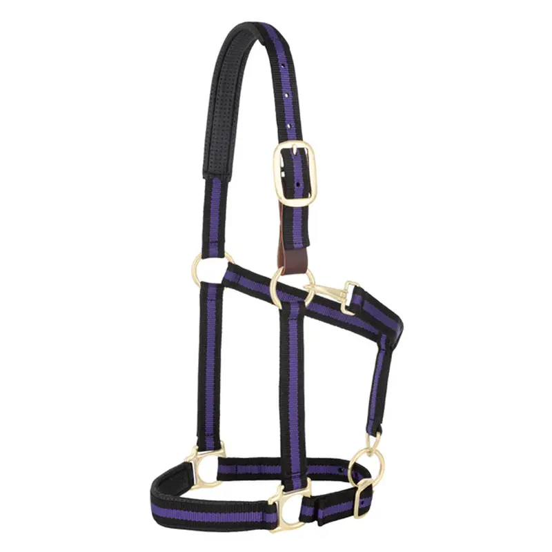 35-6065-Pu Weaver Leather Padded Breakaway Adjustable Chin & Throat Snap Halter - Purple Striped 1