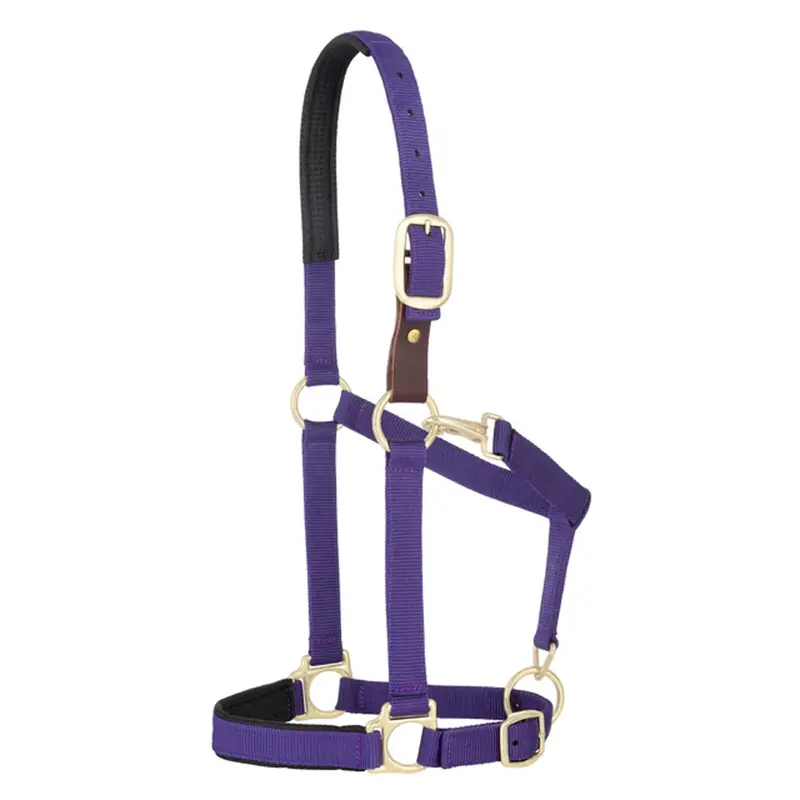35-6075-Pu Weaver Leather Padded Breakaway Adjustable Chin And Throat Snap Halter - Solid Purple 1