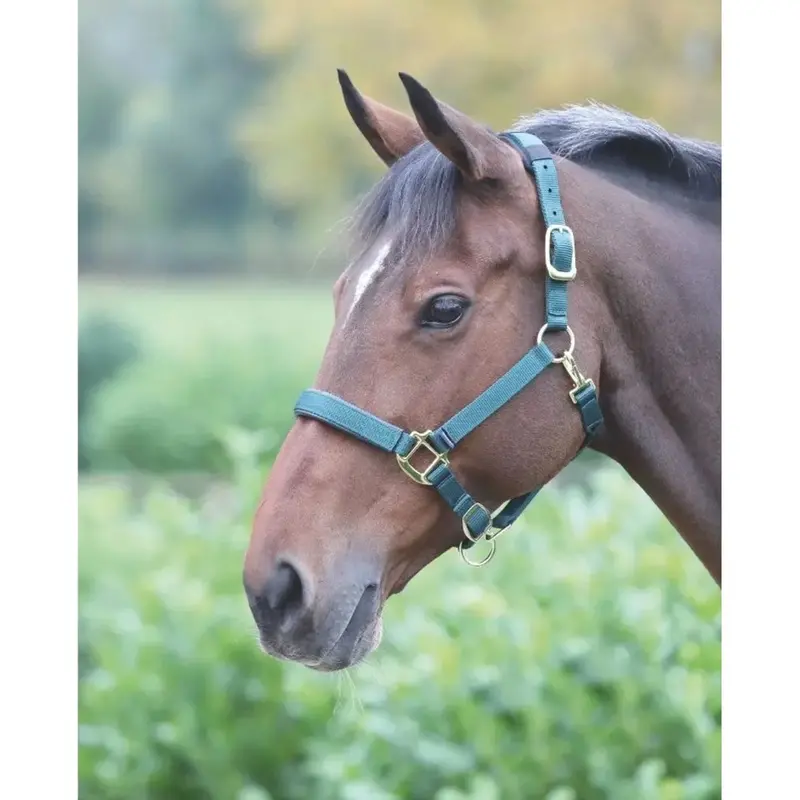 387L Shires Topaz Breakaway Padded Nylon Halter 5