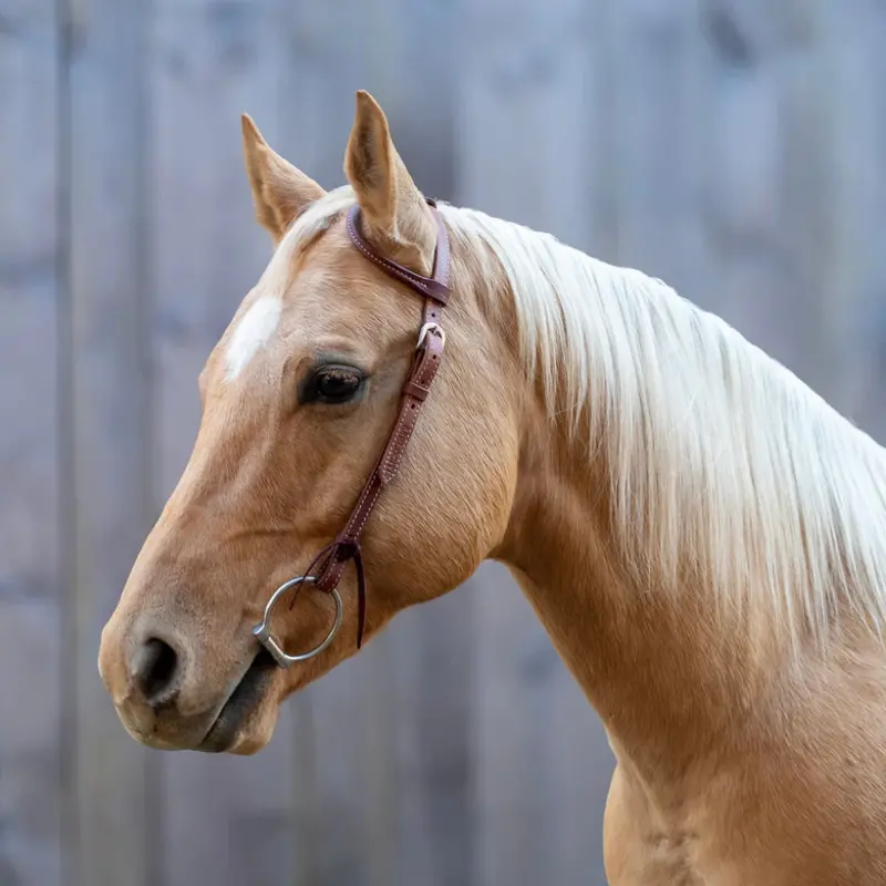 56002 Shires Velociti One Ear Headstall 1