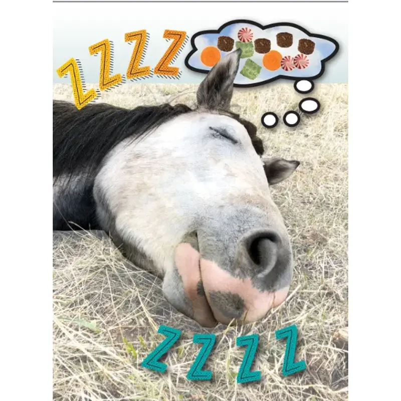 Birthday Card - Zzzzzzzzzz!!!! 1