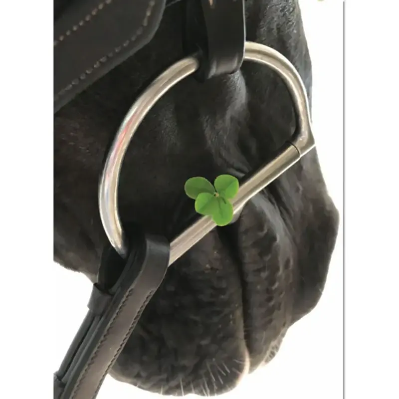 Blank Greeting Card - Four Leaf Clover Bit 1