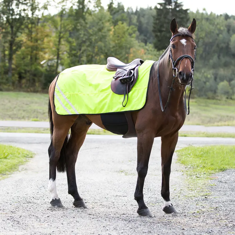 Cp2411 Horze Reflective Mesh Horse Blanket 1