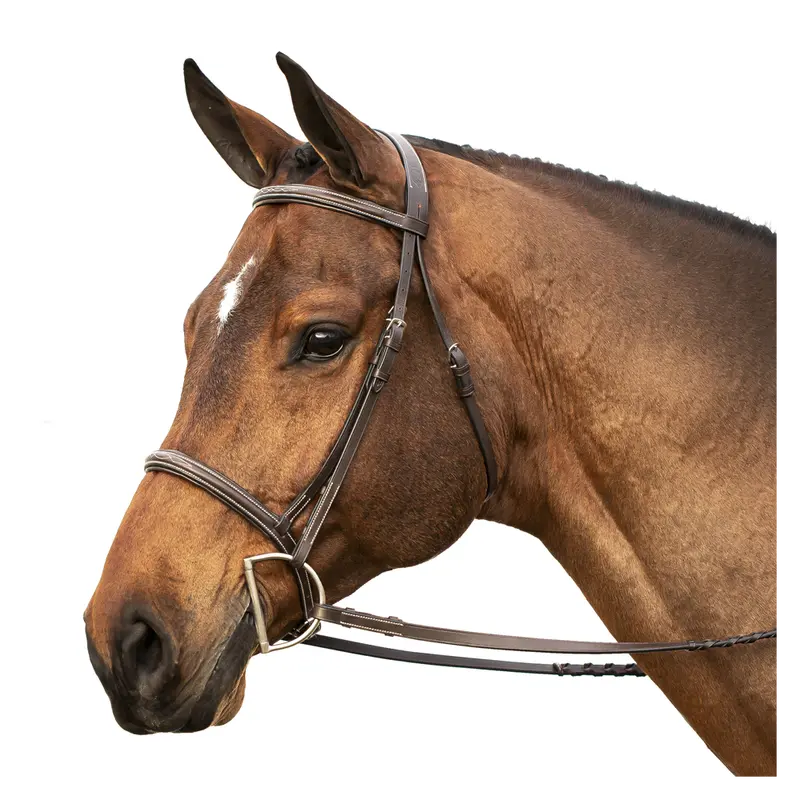 E10007-Cbr Equinavia Saga Fancy Stitched Hunter Bridle & Reins - Size Full 1