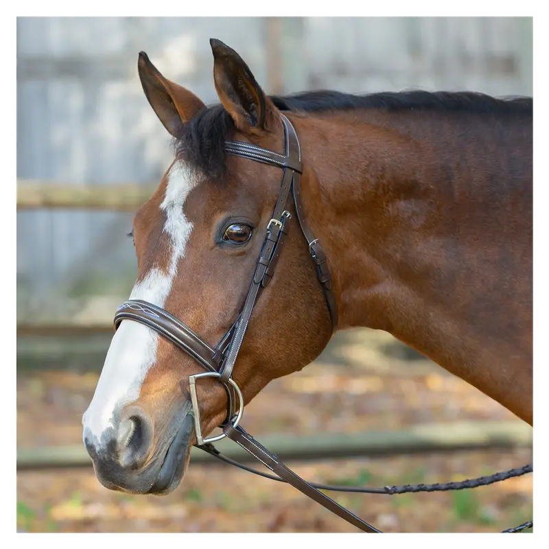 E11001-Cbr Equinavia Saga Wide Noseband Fancy Stitched Hunter Bridle & Reins- Size Full 1