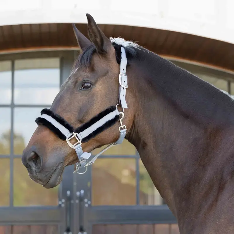E22007-Sgy/Bl Equinavia Valkyrie Ultra Fleece Breakaway Halter - Slate Grey / Black 1