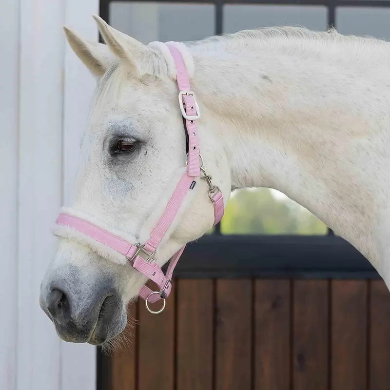 E22007-Swpi/Iwh Equinavia Valkyrie Ultra Fleece Breakaway Halter - Sweet Pink / Ivory 1