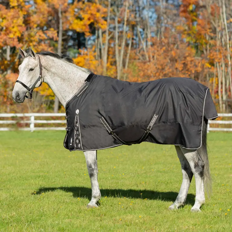 E24002-Bl Equinavia Norse Turnout Sheet - Black 1