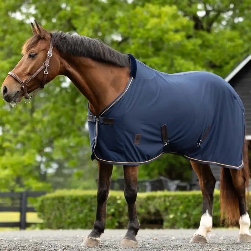 E24027 Equinavia Torr Quick Dry Cooler - Navy 1