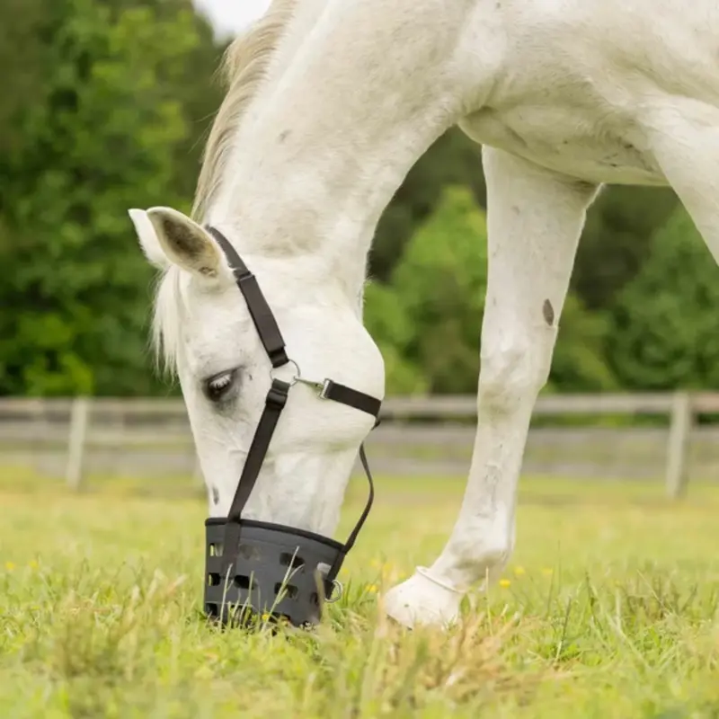 E50006 Equinavia Breakaway Comfort Grazing Muzzle - Black 1