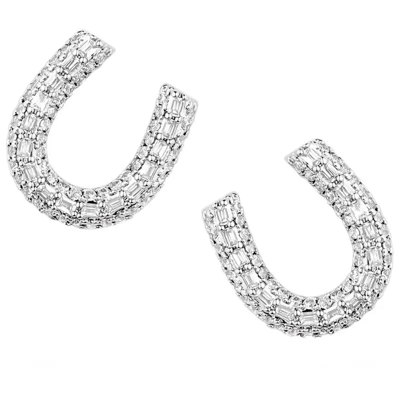 Er5967 Montana Silversmiths Frosted Luck Horseshoe Earrings 1