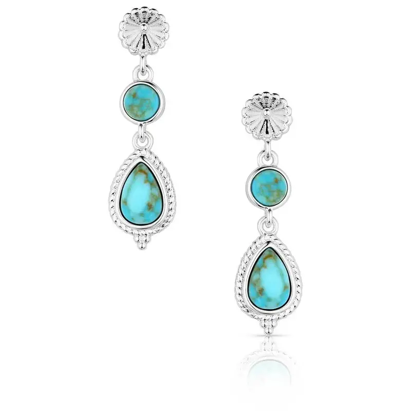 Er6107 Montana Silversmiths Desert Bloom Earrings 1