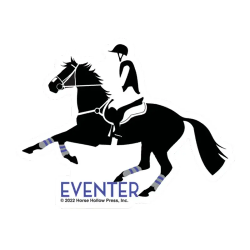 Eventer With Leg Wraps Horse Magnet 1