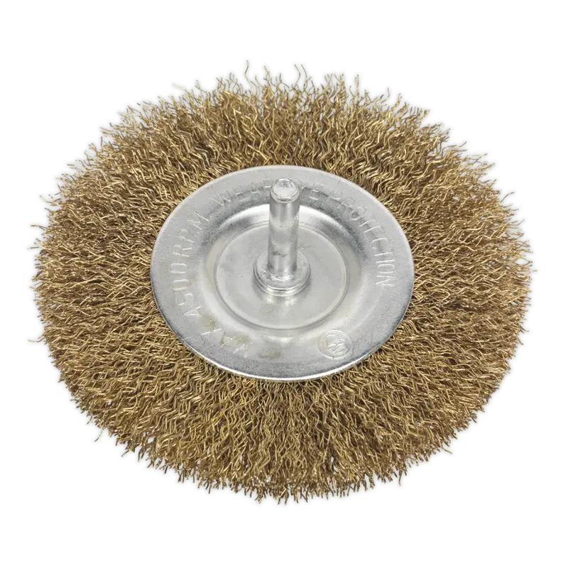 Flat Wire Brush Ø100mm With 6Mm Shaft 1