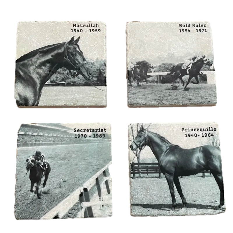 Historical Stallions Marble Coaster Set 1