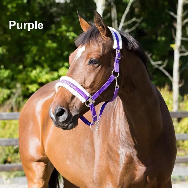 Horze Howard Padded Halter for Horses