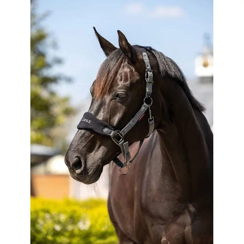 It00826 Vogue Fleece Cushion Headcollar Halter & Lead Rope Set - Black 1