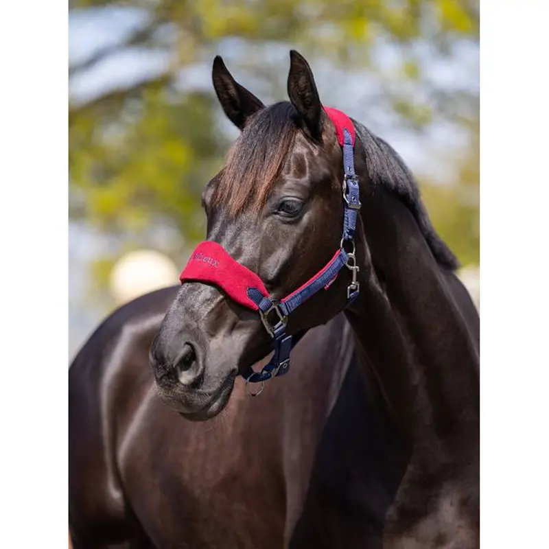 It00829 Vogue Fleece Cushion Headcollar Halter & Lead Rope Set - Burgundy 1