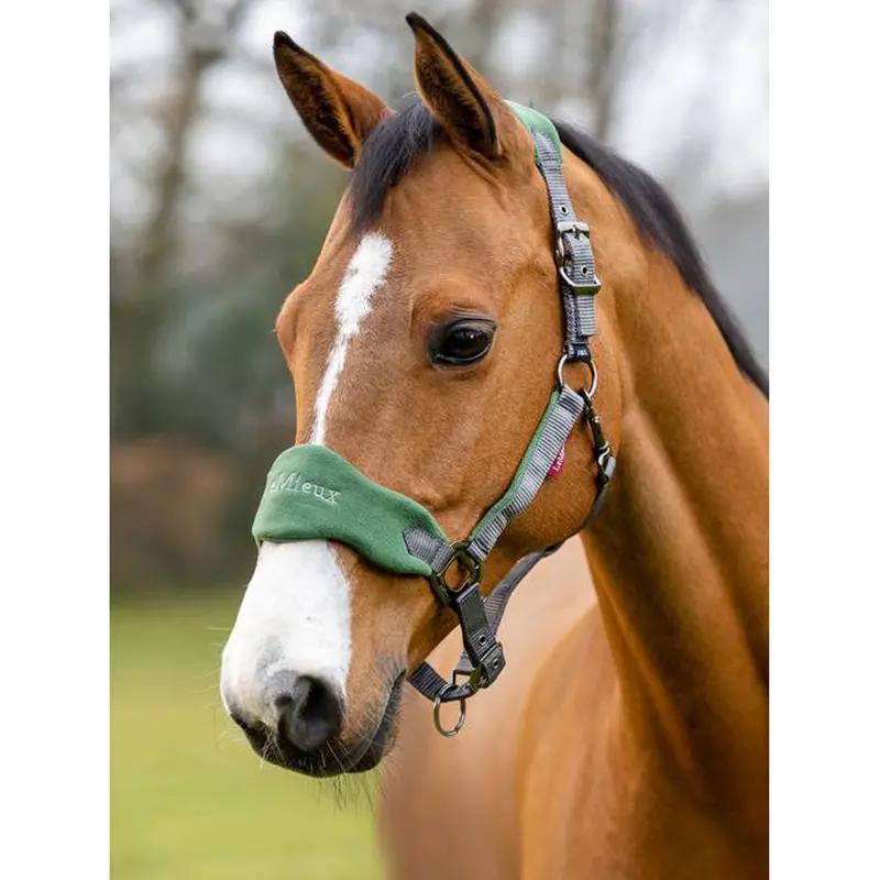 It00832 Vogue Fleece Cushion Headcollar Halter & Lead Rope Set - Hunter Green 1