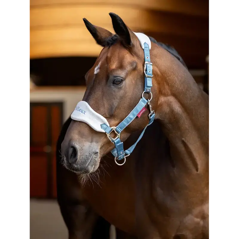 It06887 Lemieux Vogue Headcollar Halter & Lead Rope Set - Ice Blue 1