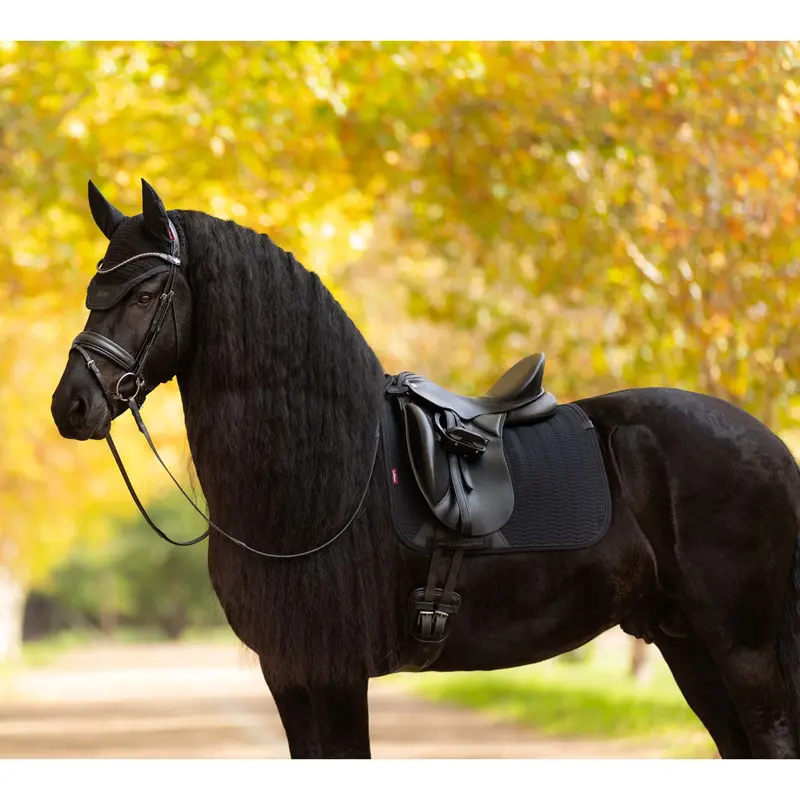 It07762 Lemieux Essence Dressage Square English Saddle Pad - Black 1