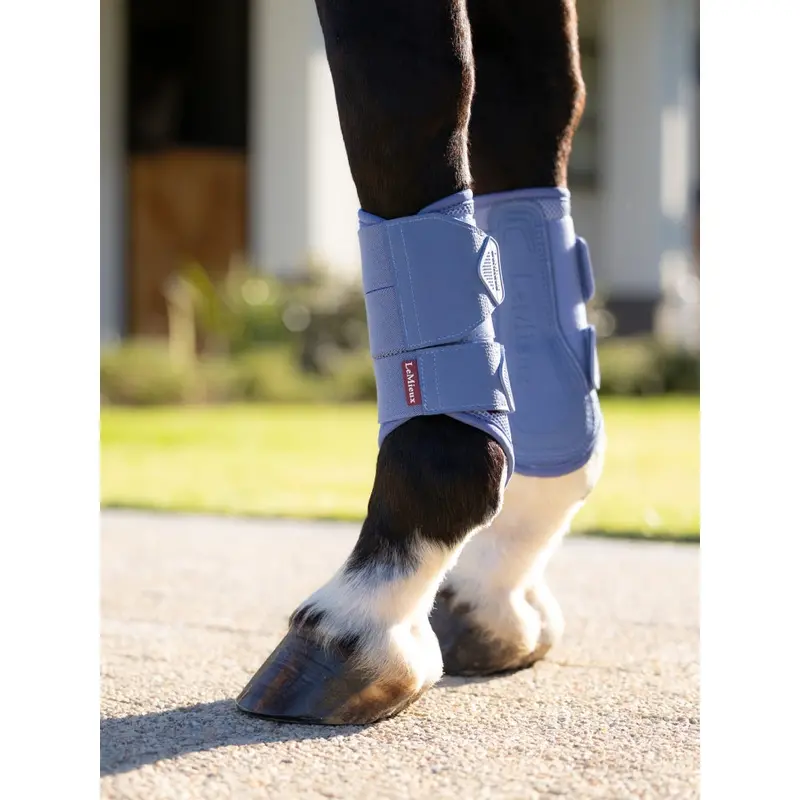 It08314 Lemieux Arika Mesh Brushing Boots - Powder Blue 1