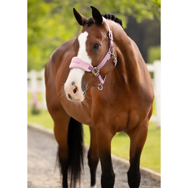 It08336 Lemieux Vogue Headcollar Halter & Lead Rope Set - Mallow 1