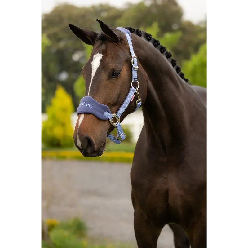 It08338 Lemieux Vogue Headcollar Halter & Lead Rope Set - Powder Blue 1