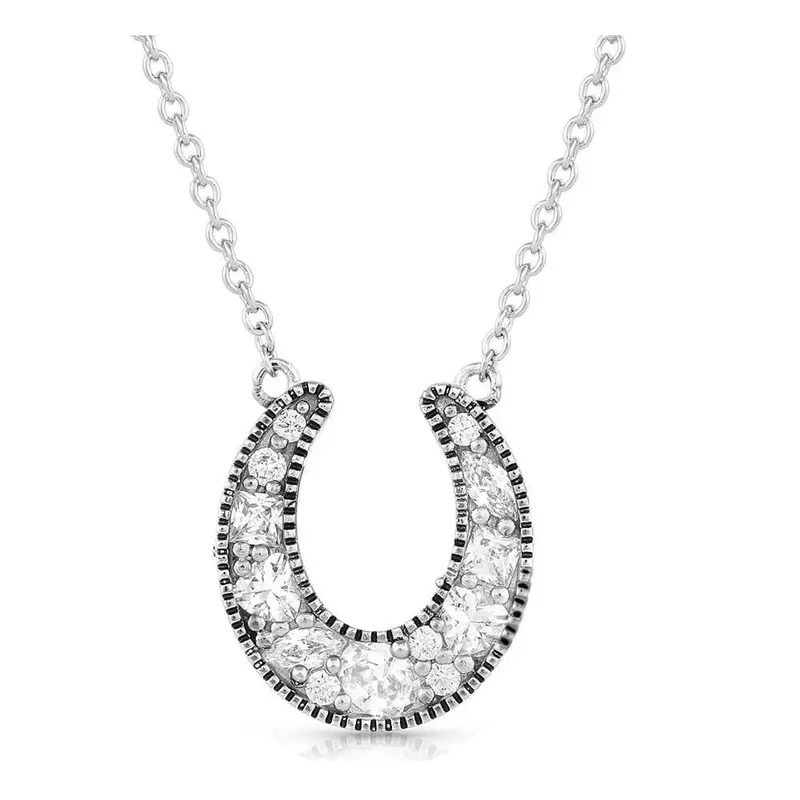 Nc5350 Montana Silversmiths Intentional Luck Crystal Horseshoe Necklace 1