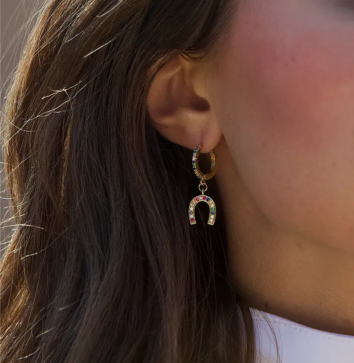 Over The Rainbow Equisite Good Luck Earrings 1