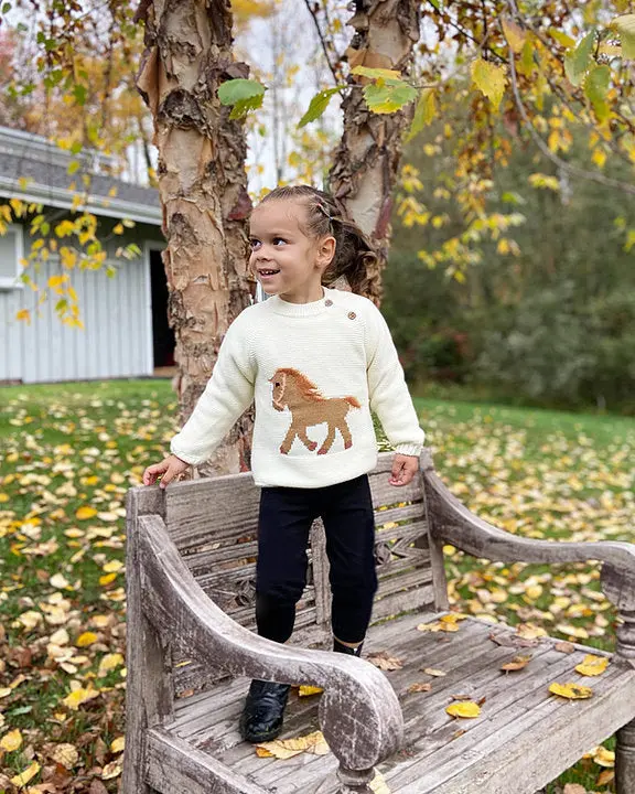Pretty Pony Sweater The Cutest Sweater Ever! 1