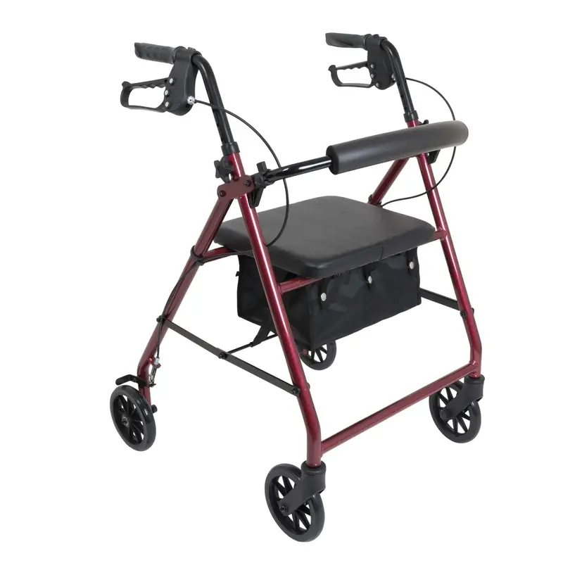 Probasics Aluminum Rollator With 6-Inch Wheels 1