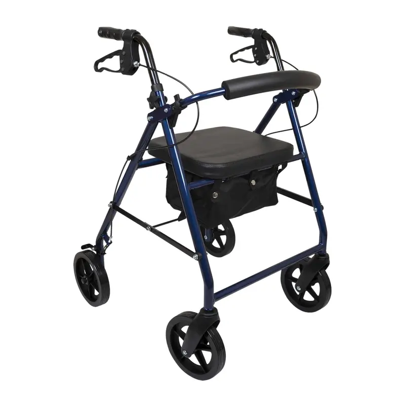 Probasics Deluxe Aluminum Rollator With 8-Inch Wheels 1
