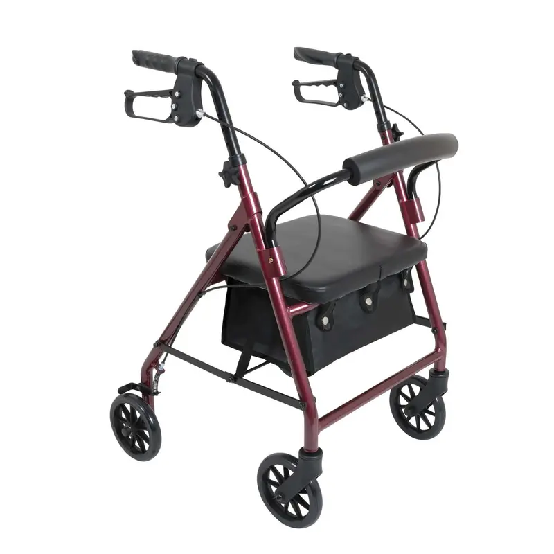 Probasics Junior Rollator With 6-Inch Wheels 1