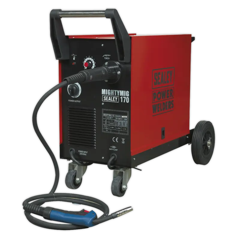 Professional Gas-No-Gas Mig Welder 170Amp With Euro Torch 1