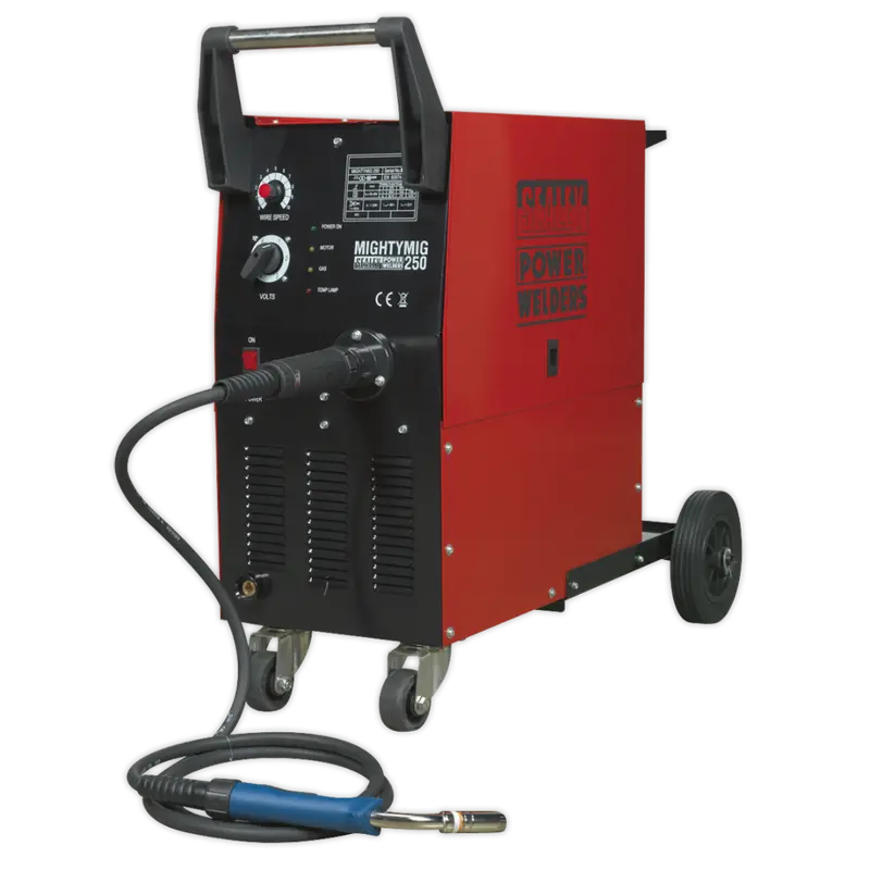 Professional Gas-No-Gas Mig Welder 250Amp With Euro Torch 1
