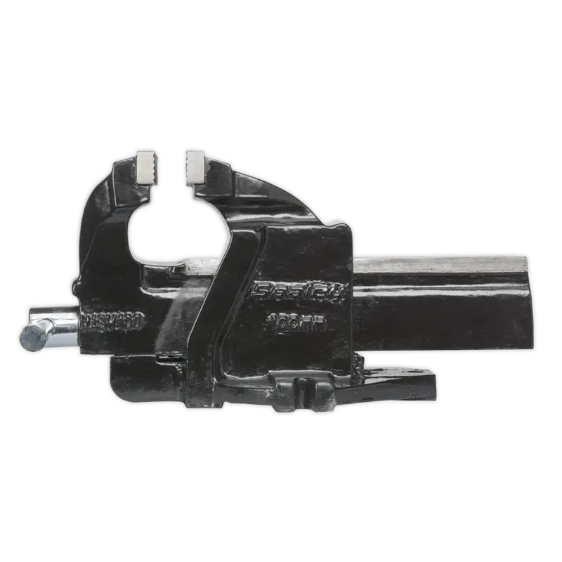 Professional Mechanic's Vice 100Mm Sg Iron 1