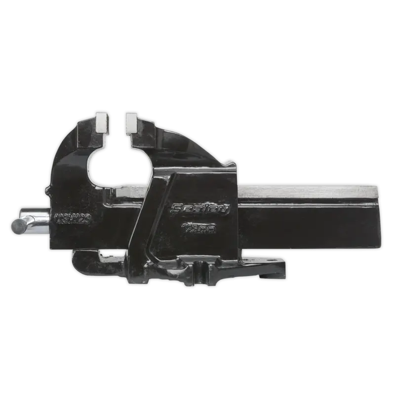 Professional Mechanic's Vice 125Mm Sg Iron 1