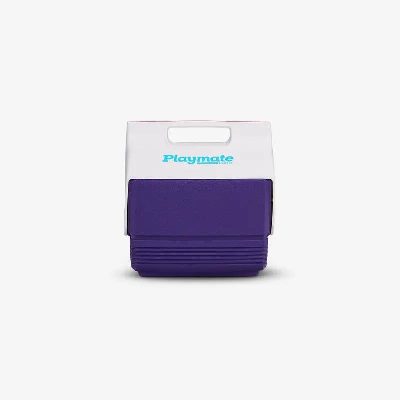 Retro Playmate Mini 4 Qt Cooler 2